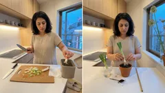 捨てる前に：リーキ（ポロねぎ）の根元をコップの水で再生栽培する手順と、花を咲かせるコツ